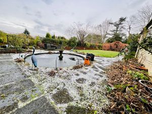 Photo 21- click for photo gallery